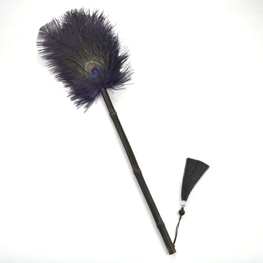 Brosse à Poussière Antistatique en Plumes 9