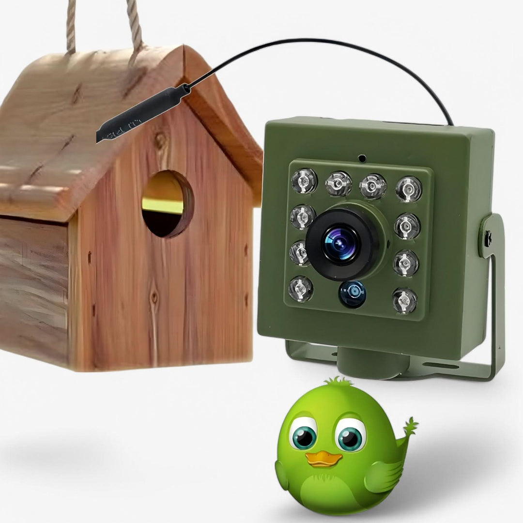 Caméra de Surveillance HD 1080p pour l'Observation des Oiseaux 1