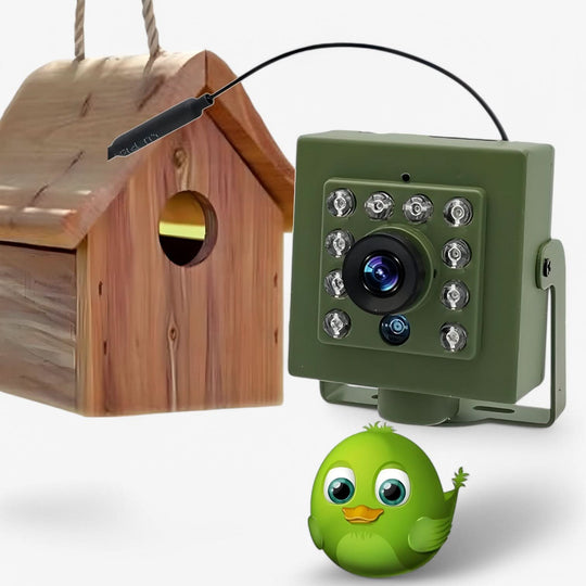 Caméra de Surveillance HD 1080p pour l'Observation des Oiseaux 1