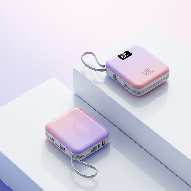 Chargeur Portable avec Affichage Numérique Haute Capacité 2
