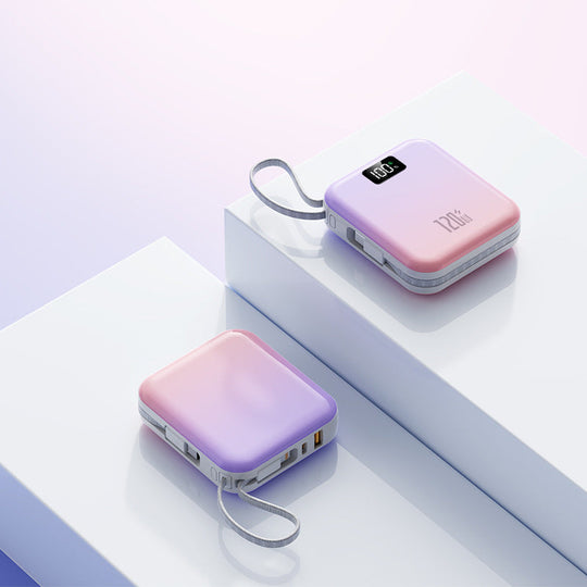Chargeur Portable avec Affichage Numérique Haute Capacité 2