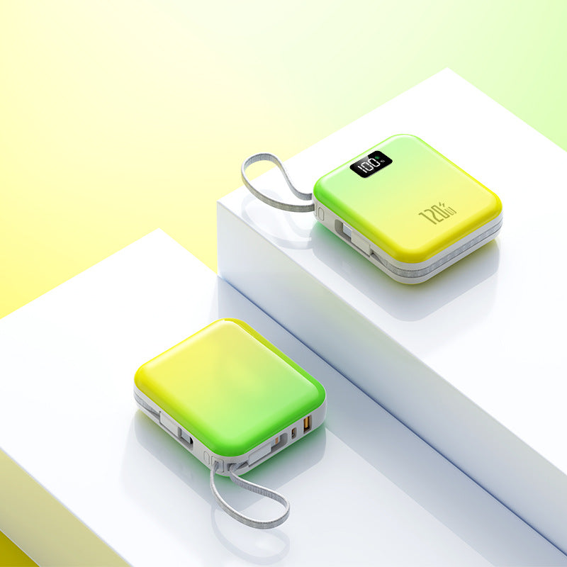 Chargeur Portable avec Affichage Numérique Haute Capacité 7