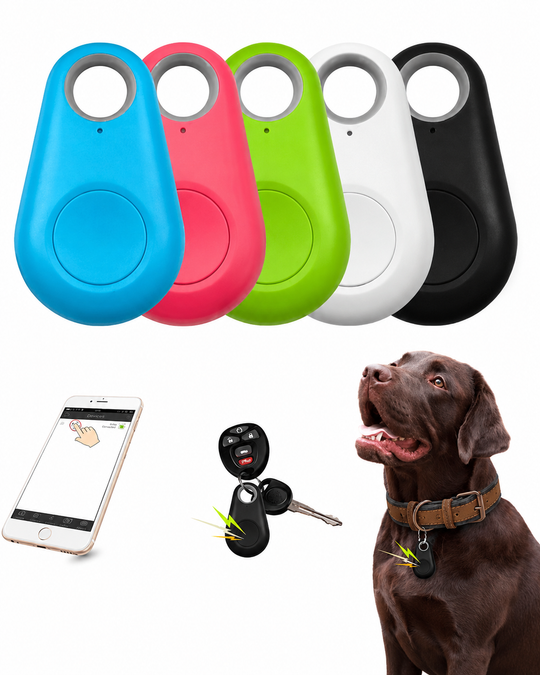 Traceur GPS Compact pour Animaux de Compagnie