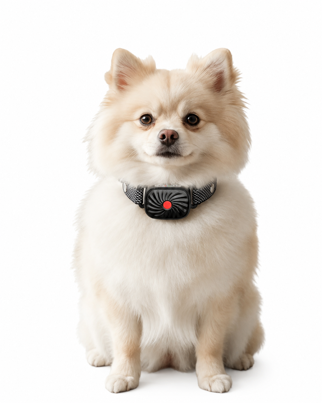 Collier Anti-Aboiement pour Petits Chiens avec Son et Vibration