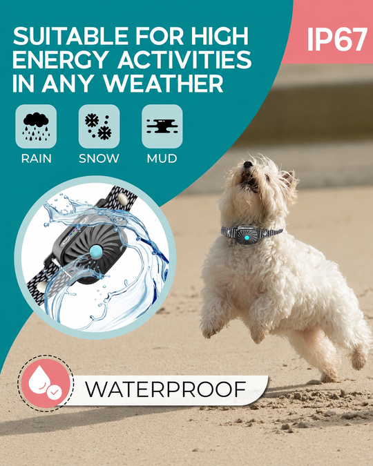 Collier Anti-Aboiement pour Petits Chiens avec Son et Vibration
