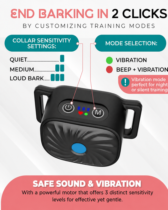 Collier Anti-Aboiement pour Petits Chiens avec Son et Vibration