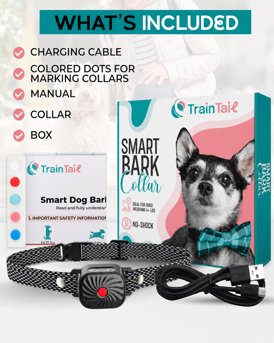 Collier Anti-Aboiement pour Petits Chiens avec Son et Vibration