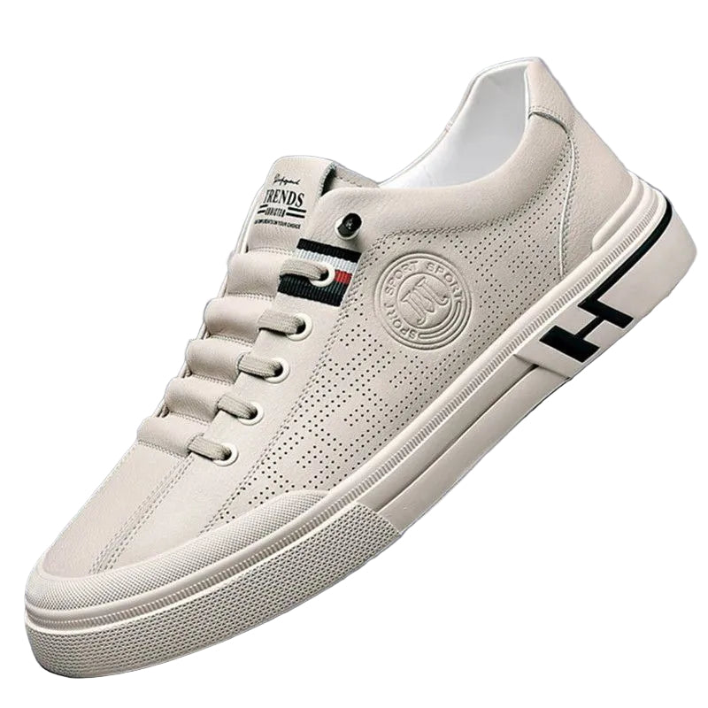 Chaussures pour Hommes Casual en Cuir avec Détails Innovants 0