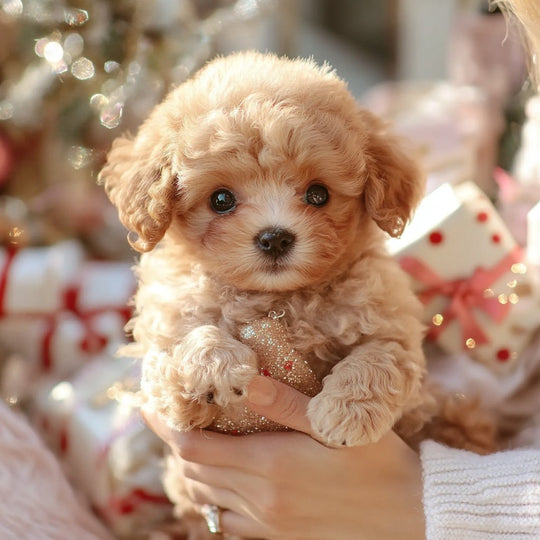 Chien en Peluche Interactif Mouvements Réalistes 4