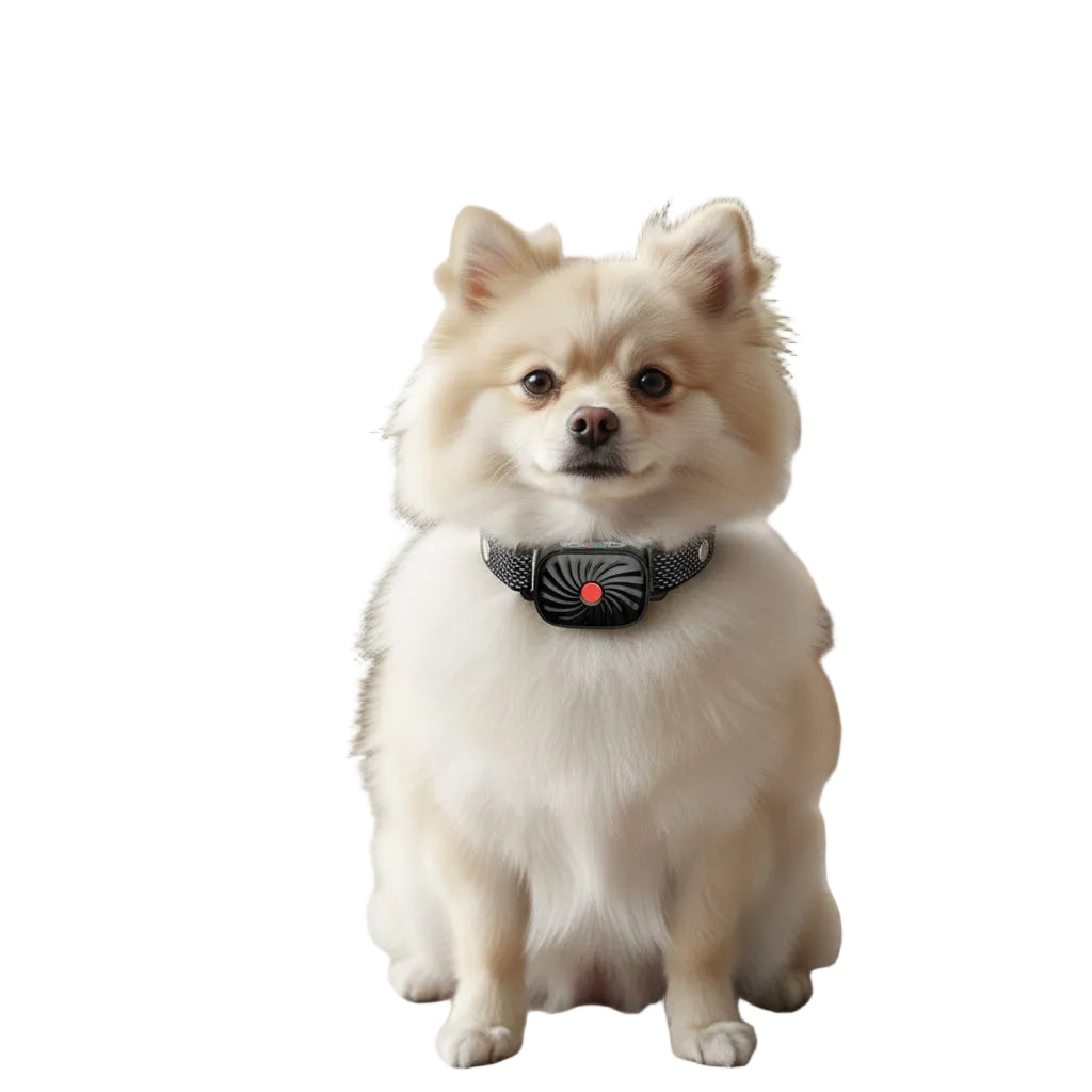 Collier Anti-Aboiement pour Petits Chiens avec Son et Vibration 0