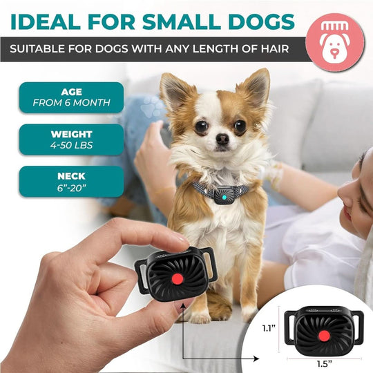 Collier Anti-Aboiement pour Petits Chiens avec Son et Vibration 1