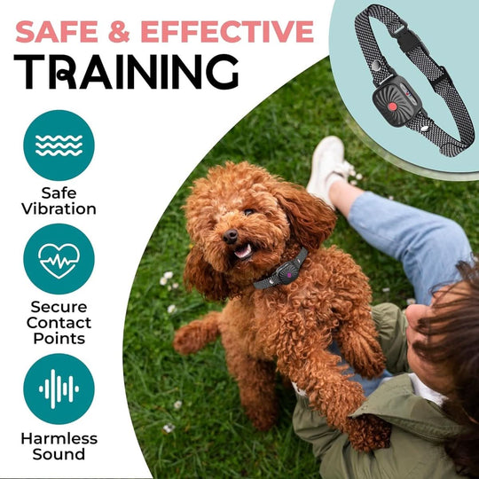Collier Anti-Aboiement pour Petits Chiens avec Son et Vibration 2