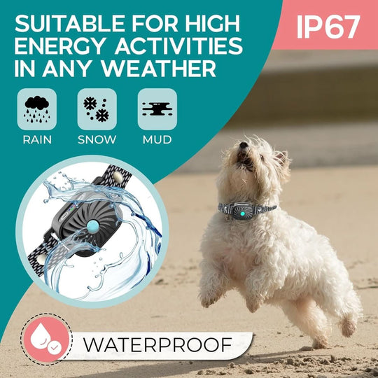 Collier Anti-Aboiement pour Petits Chiens avec Son et Vibration 4