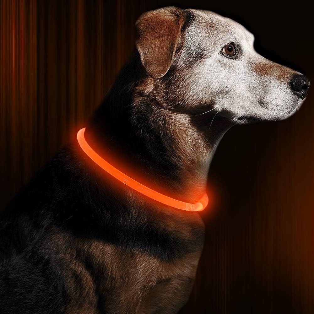 Collier Chien LED Rechargeable Ajustable Pour Promenades Nocturnes 3