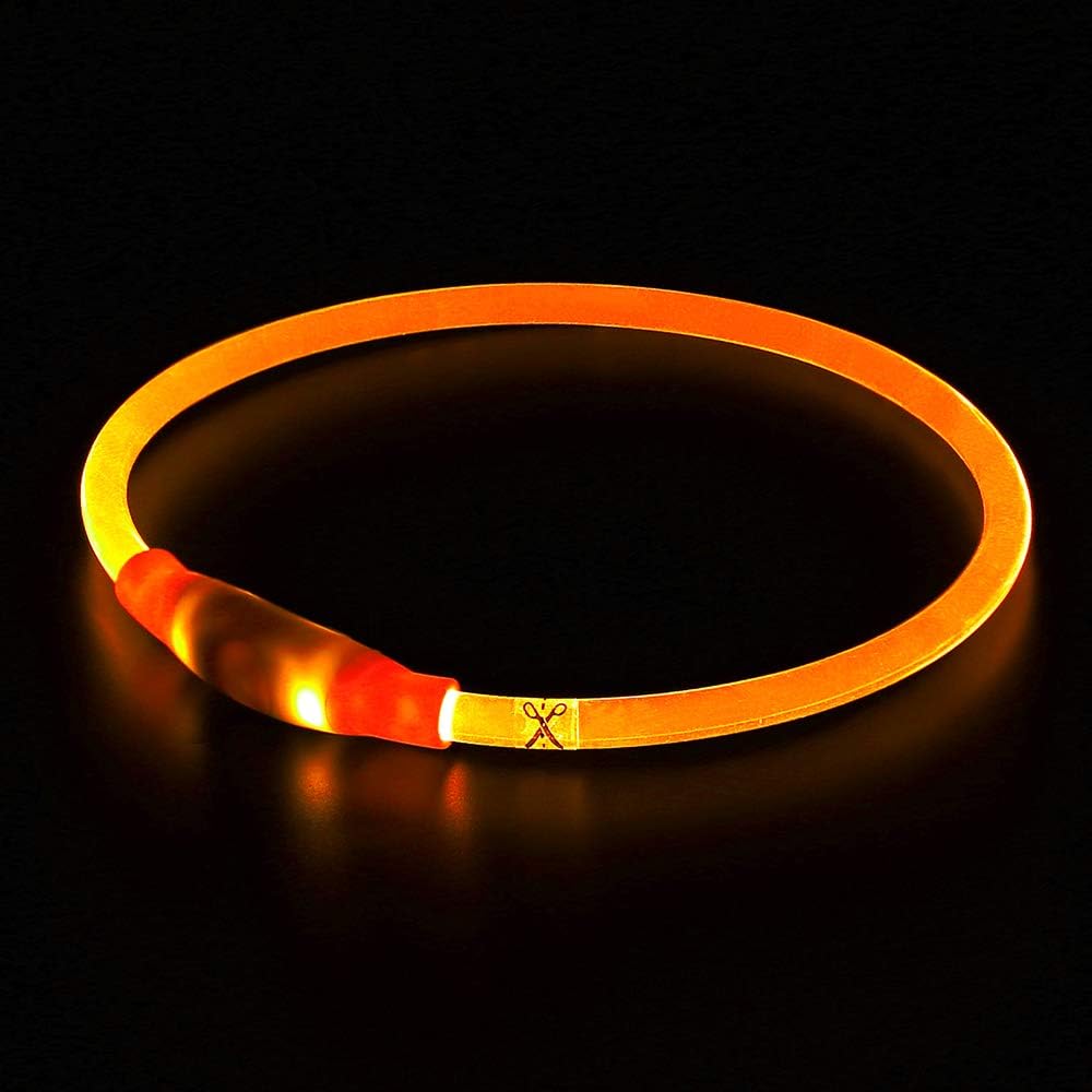 Collier Chien LED Rechargeable Ajustable Pour Promenades Nocturnes 4