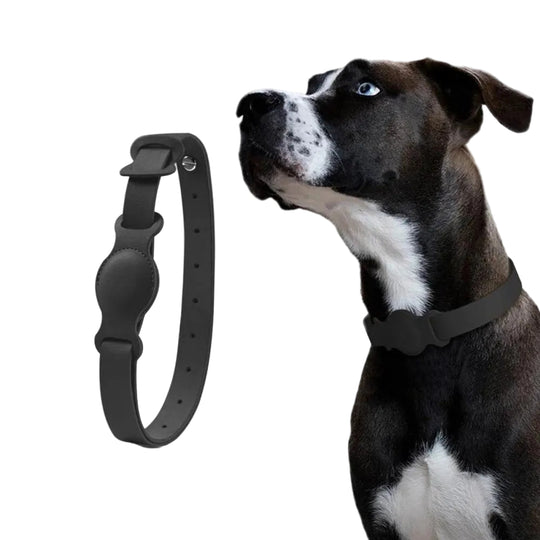 Collier Chien Luxe Avec AirTag Intégré Design Pratique 0