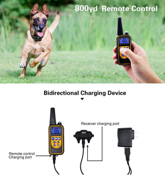 Collier Électrique de Dressage pour Chien avec Télécommande Étanche 4