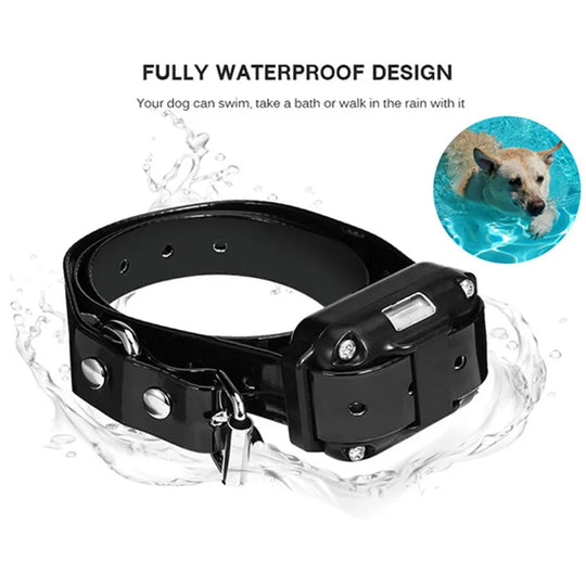 Collier Électrique de Dressage pour Chien avec Télécommande Étanche 6