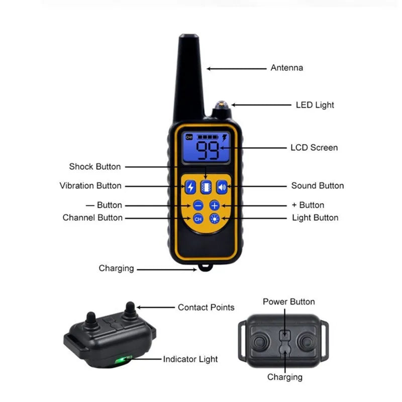 Collier Électrique de Dressage pour Chien avec Télécommande Étanche 7