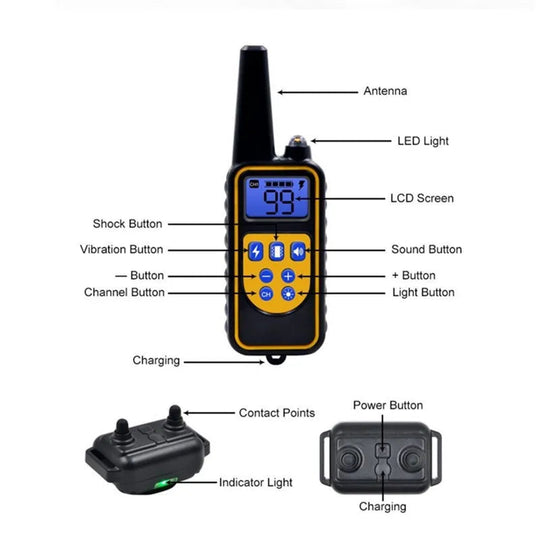 Collier Électrique de Dressage pour Chien avec Télécommande Étanche 7