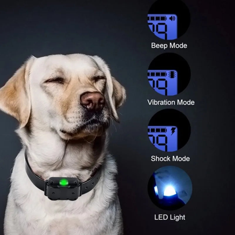 Collier Électrique de Dressage pour Chien avec Télécommande Étanche 8