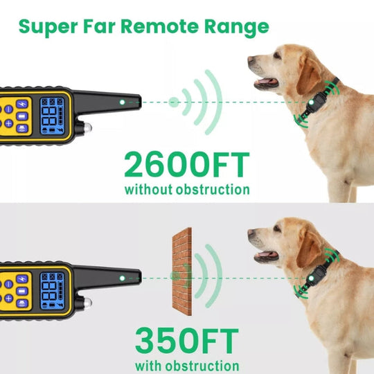 Collier Électrique de Dressage pour Chien avec Télécommande Étanche et Réglable 3