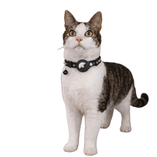 Collier GPS pour Chats avec Design Réfléchissant 0