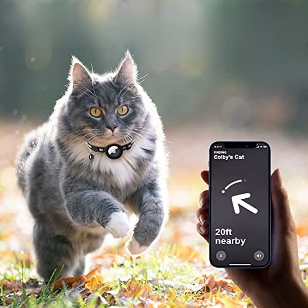 Collier GPS pour Chats avec Design Réfléchissant 2