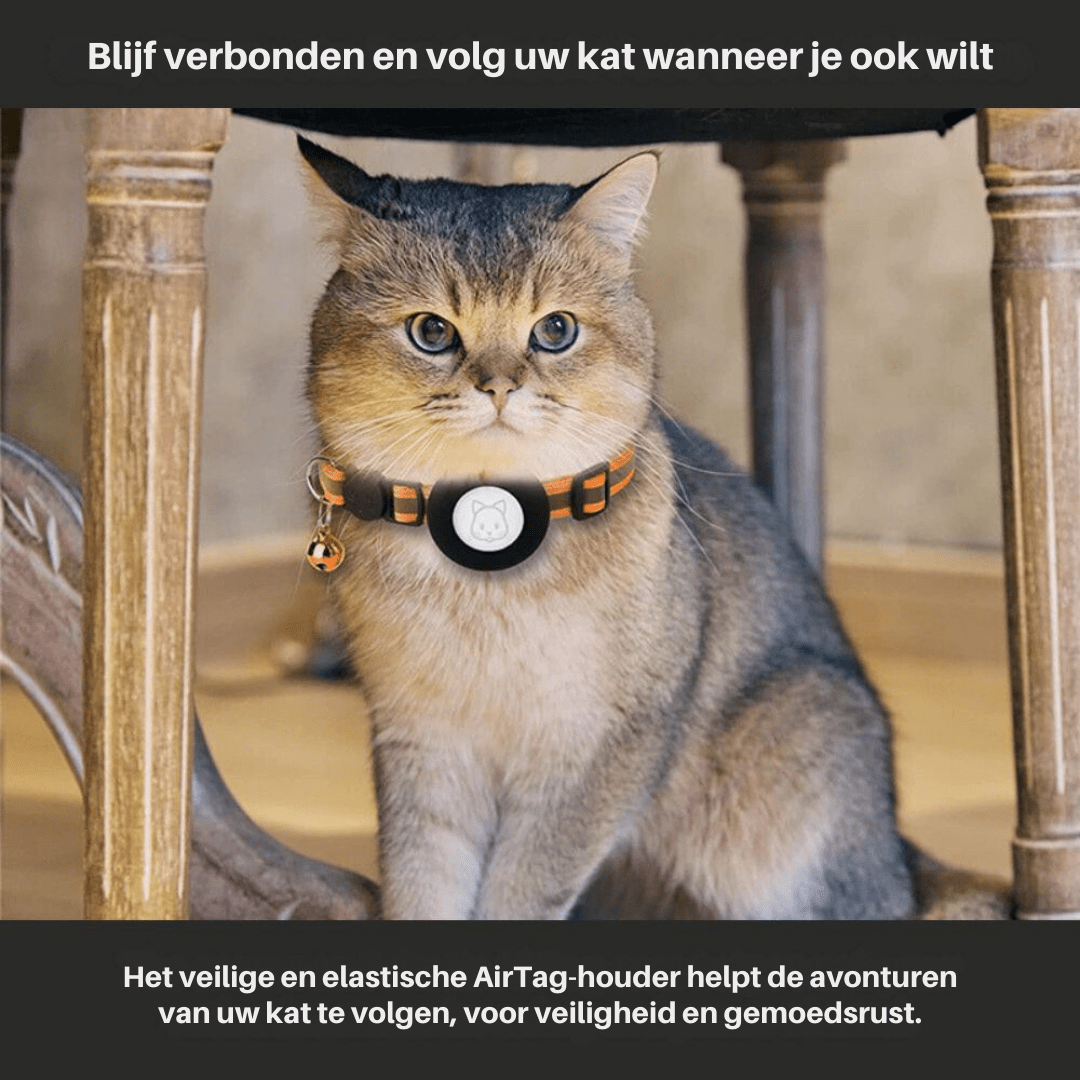 Collier GPS pour Chats avec Design Réfléchissant 3