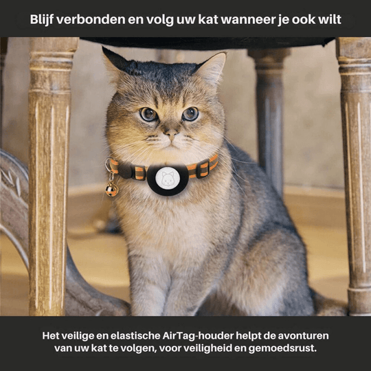 Collier GPS pour Chats avec Design Réfléchissant 3