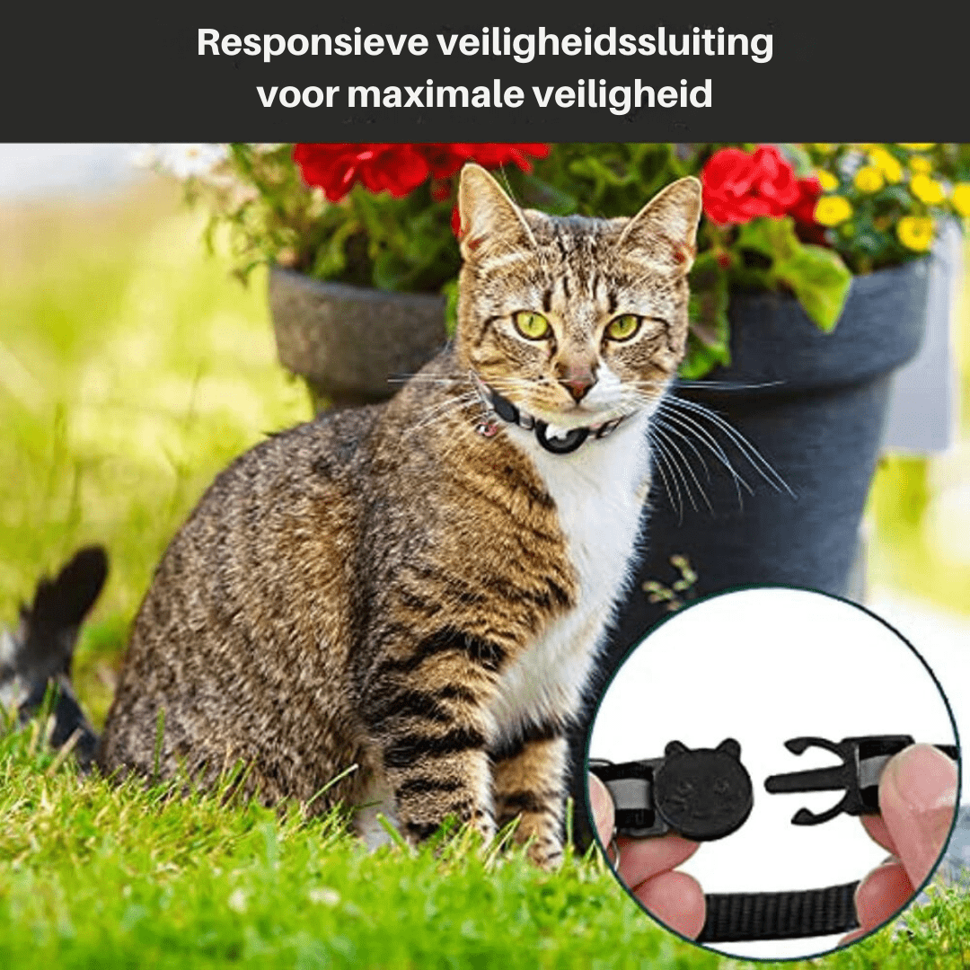 Collier GPS pour Chats avec Design Réfléchissant 5