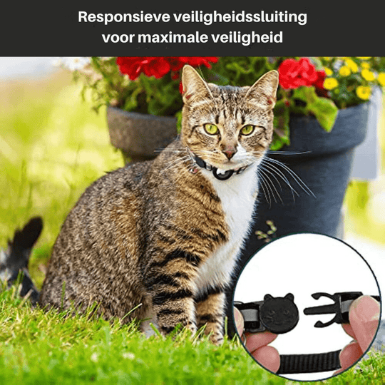 Collier GPS pour Chats avec Design Réfléchissant 5