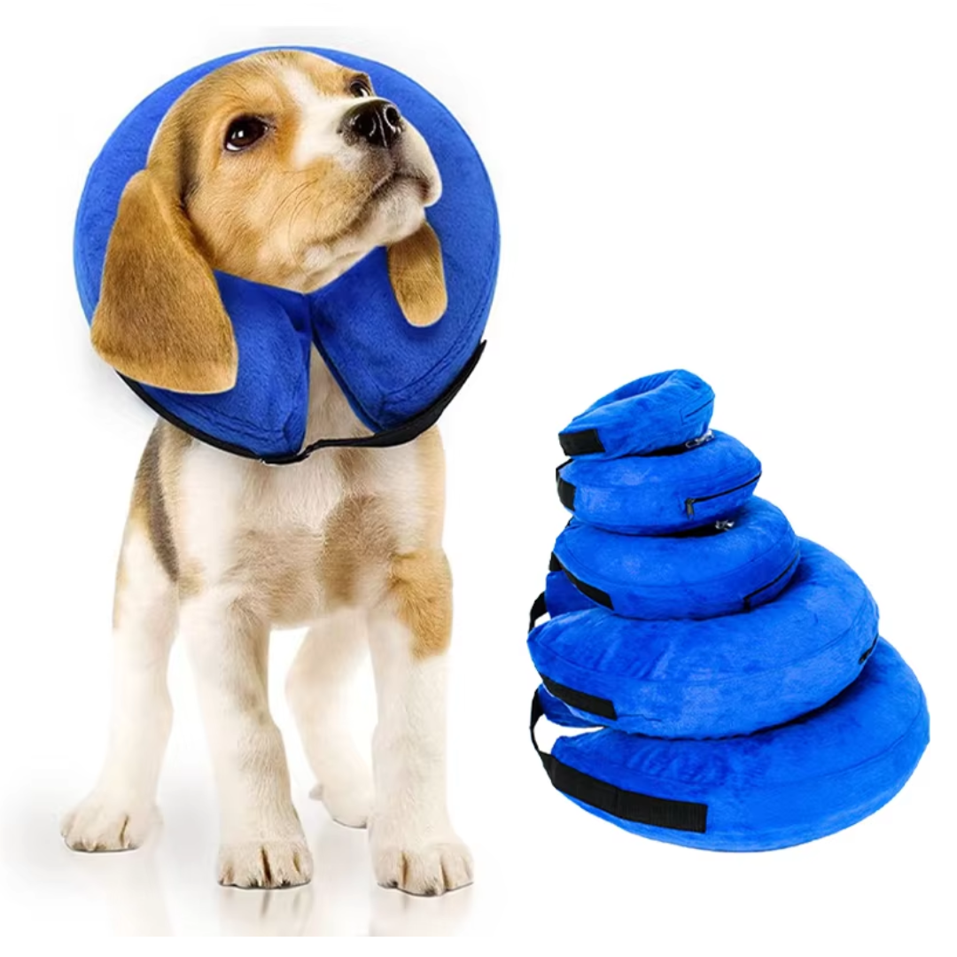 Collier Gonflable Ajustable Pour Chien Confortable 0