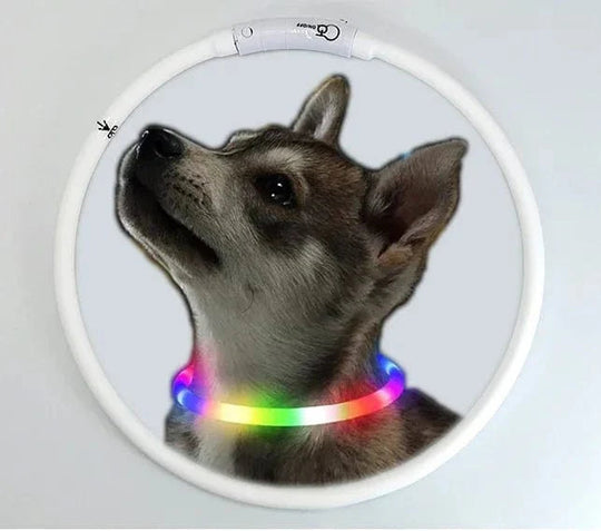 Collier Lumineux pour Chiens et Chats avec LED Rechargeable 0
