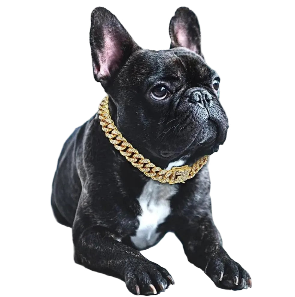 Collier Pour Chien Design Luxueux Brillant 0
