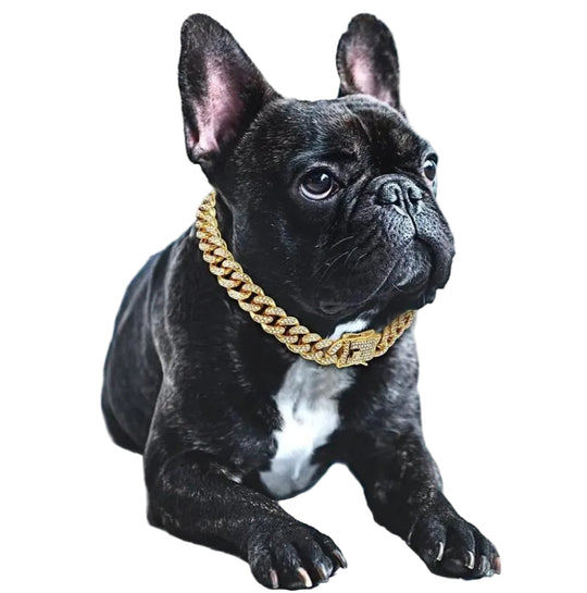 Collier Pour Chien Design Luxueux Brillant 0