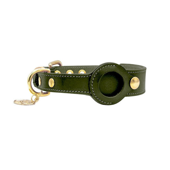 Collier pour animaux de compagnie avec support AirTag 1