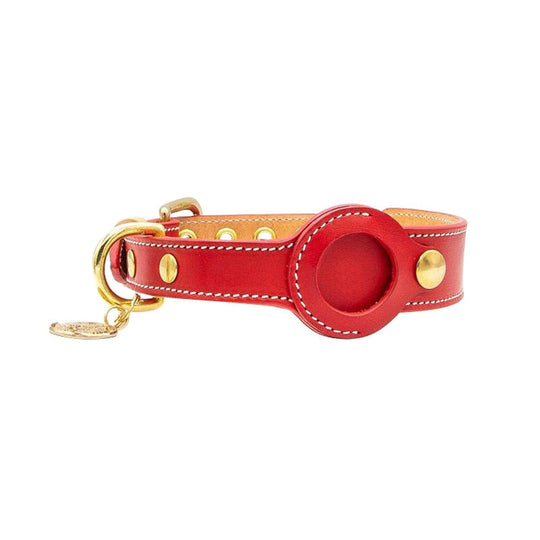 Collier pour animaux de compagnie avec support AirTag 2