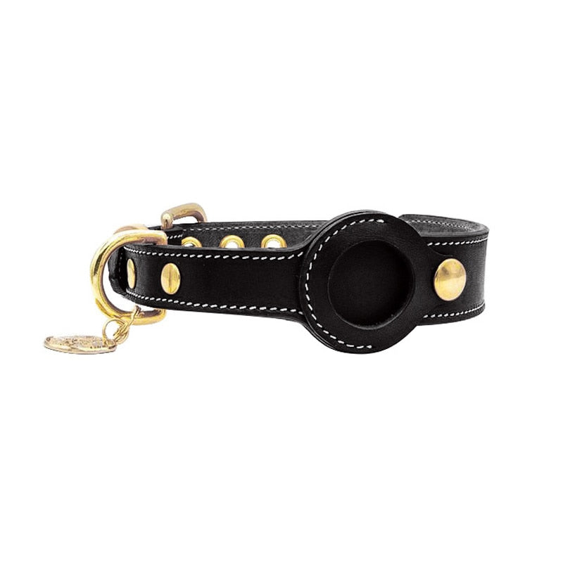 Collier pour animaux de compagnie avec support AirTag 3