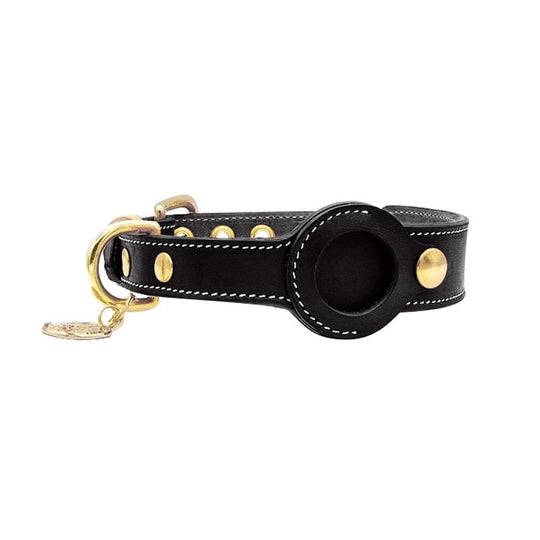 Collier pour animaux de compagnie avec support AirTag 3