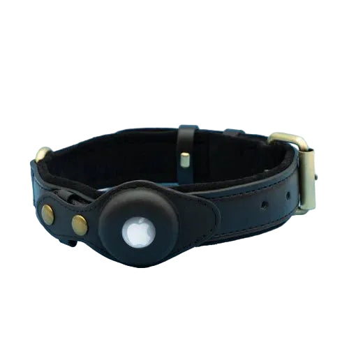 Collier pour chien avec support AirTag 0