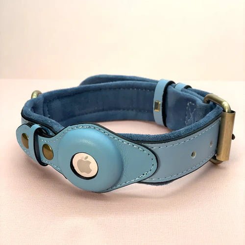 Collier pour chien avec support AirTag 10