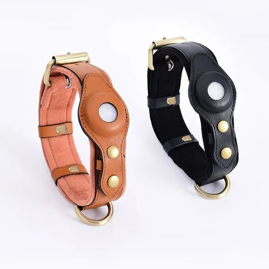Collier pour chien avec support AirTag 3