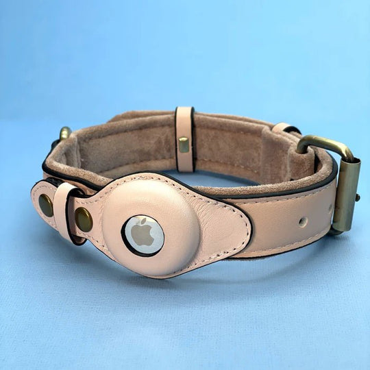 Collier pour chien avec support AirTag 4