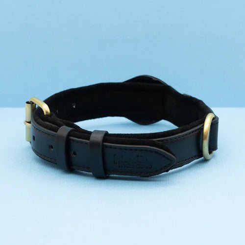 Collier pour chien avec support AirTag 6