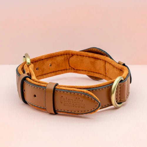 Collier pour chien avec support AirTag 7