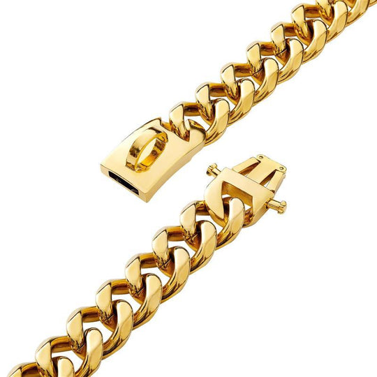 Collier pour chien robuste et élégant 2