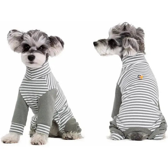 Combinaison de Récupération pour Chien à Manches Longues 3