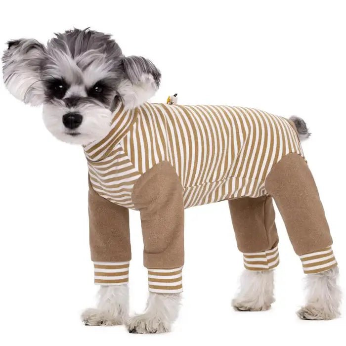 Combinaison de Récupération pour Chien à Manches Longues 6