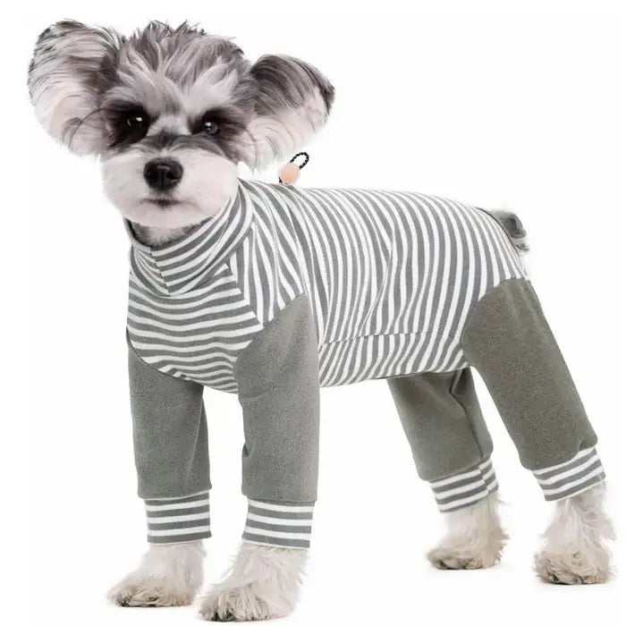 Combinaison de Récupération pour Chien à Manches Longues 8